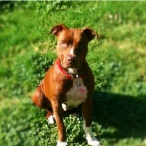 Meet your Posher, Jocelyn